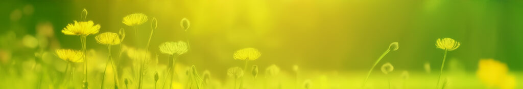 Praxis für Gesundheitsförderung, Entspannung und Stressbewältigung